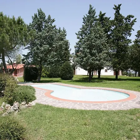 Collinella-Trilo-2B *