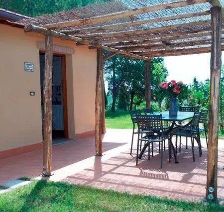 Collinella-Trilo-2B