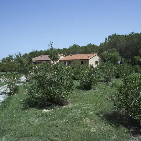 Collinella-Trilo-2B Apartment